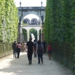 Walk through the High Hedges